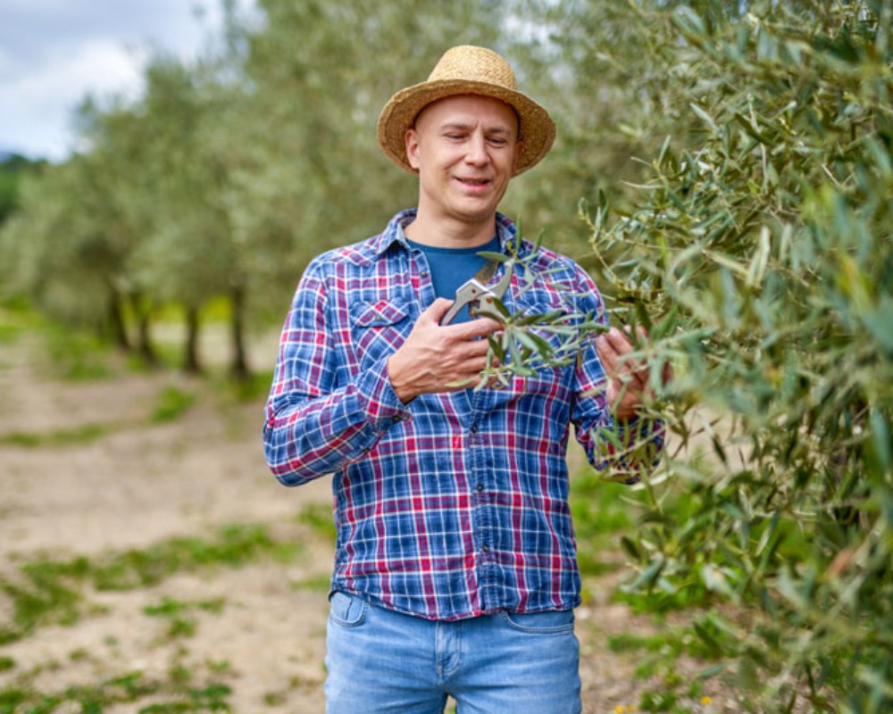 Producteur de plantes Pontault-Combault
